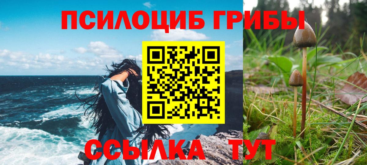 Салехард  Псилоцибиновые грибы Psilocybe  Вход с VPN  Галлюциногенные грибы MAGIC MUSHROOMS 